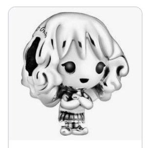 Charm Harry Potter Hermione