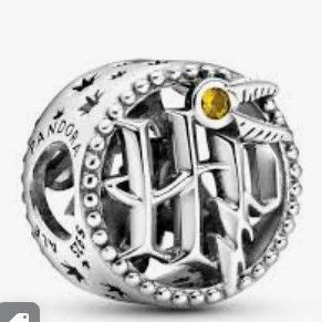 Charm Harry Potter Logo