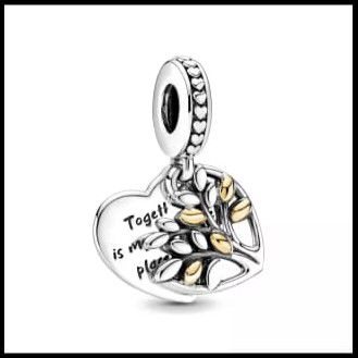 Charm corazon familia
